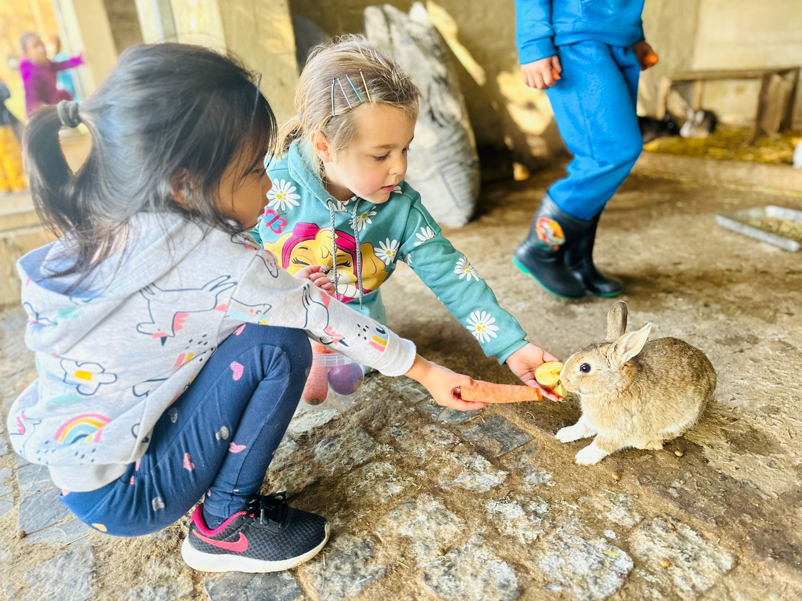 private school western cape